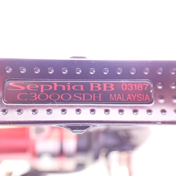 １３セフィアＢＢＣ３０００ＳＤＨ